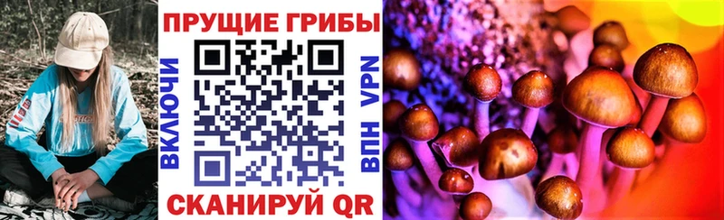 сколько стоит  дарк нет как зайти  Галлюциногенные грибы прущие грибы  Щёкино 